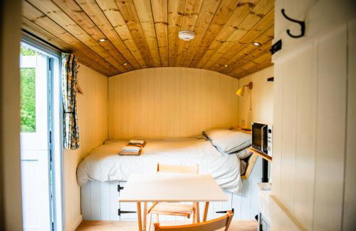 Cosy Shepherd's Hut with Hot Tub - Foto 4
