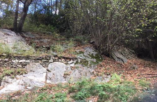 Mas Graffouil - Foto 9