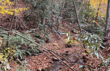 Beech Creek Cabin, lower unit, Black Mountain - Foto 36