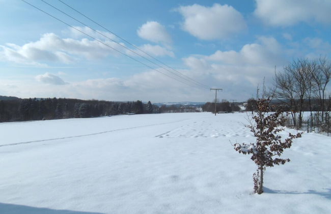 Wohnung in Pfuhl Nahe Naturschutzgebiet - Foto 40