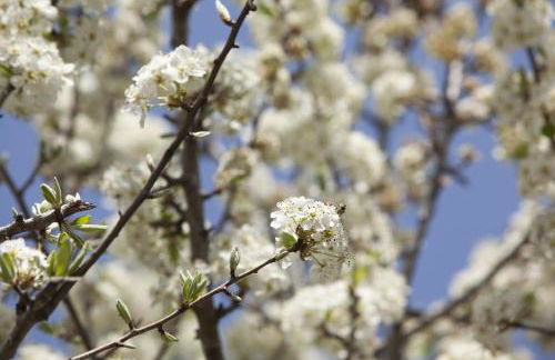 La Fondona - Foto 20