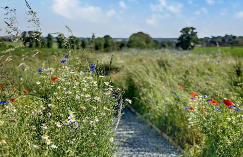 1 Bed in Abberley 89033 - Photo 24