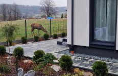 Bieszczadzka Panorama - Foto 30