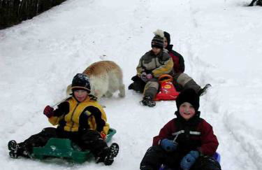 Apartmenthaus Weber - Foto 57