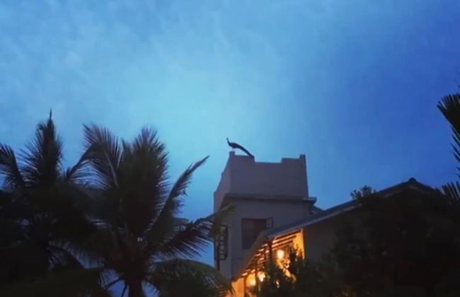 Peacock Villa - Photo 40