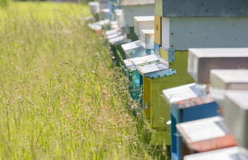 La Collina delle Mignole - Foto 13