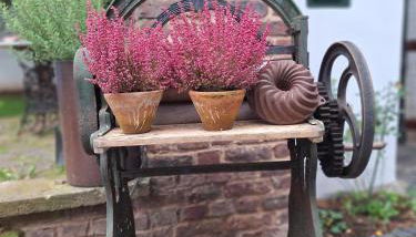 Rosige Zeiten, Ferien im Fachwerkhof - Photo 4, Garden