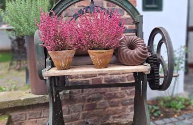 Rosige Zeiten, Ferien im Fachwerkhof - Photo 4