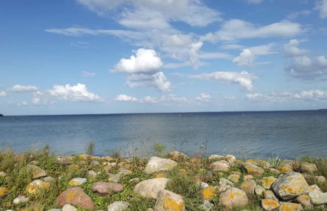 6 Person Holiday Home on a Holiday Park in Hejls - Foto 46