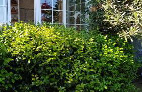 Casa Magda - Foto 34