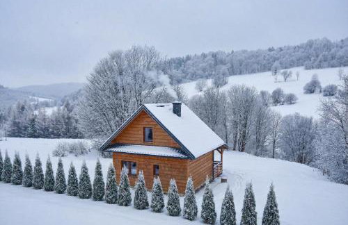 Bieszczady Żubrowe Wzgórze 785-049-543 - Foto 79