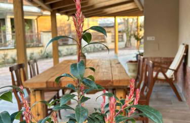 Domus Corinnae - Photo 10