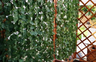 Fichi e Gelsomino - Casa Vacanze - Foto 11