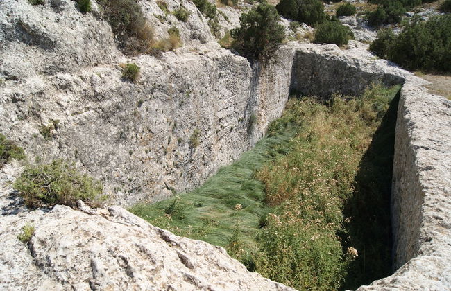 Finca El Romeral - Foto 52