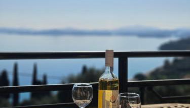 Ionelia Seaview Apartment at Barbati - Foto 4