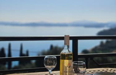 Ionelia Seaview Apartment at Barbati - Foto 4