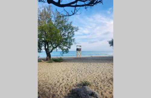 Seaview apartment 5C balcony In Canyamel Torre Doy - Foto 38