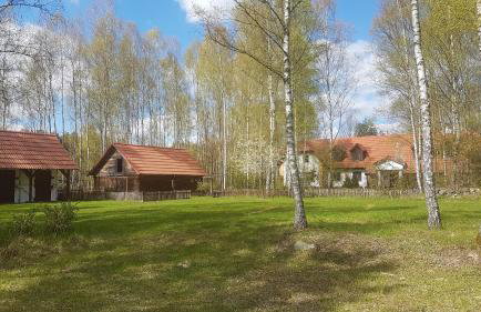 Villa Stare Osieczno - Foto 7