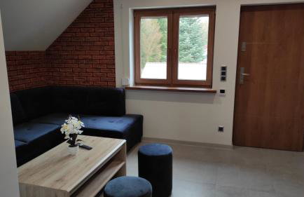 Apartamenty Klangor - Foto 49