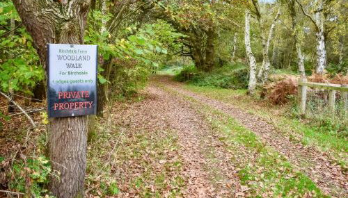 George Lodge - Foto 5