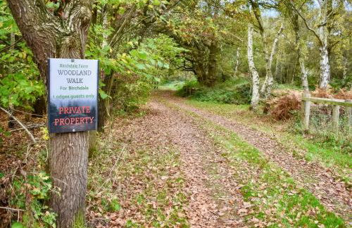 George Lodge - Foto 5