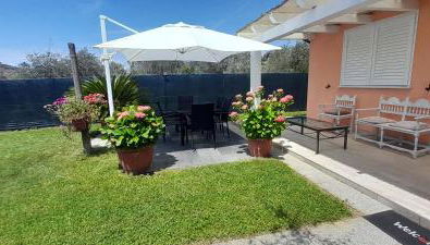 Casa vacanze Gli Ulivi - Foto 4, Garden, sunbed, Garden view