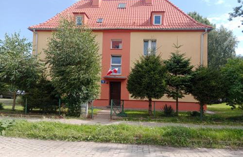 Wojska Polskiego 18 - Foto 12