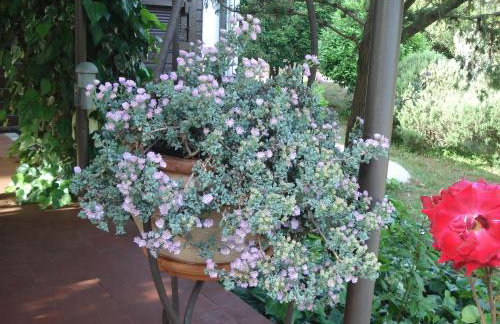 Holiday Home Julia - Foto 36