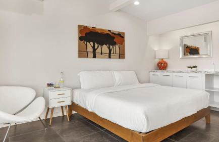 Vibrant Palm Springs Getaway w Pool BBQ Modern Design Taylor House by AvantStay - Foto 28