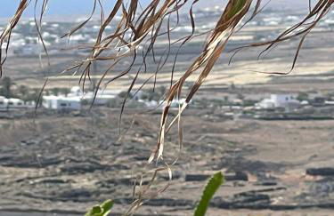 La Morreta Suites II - Lanzarote - Photo 39