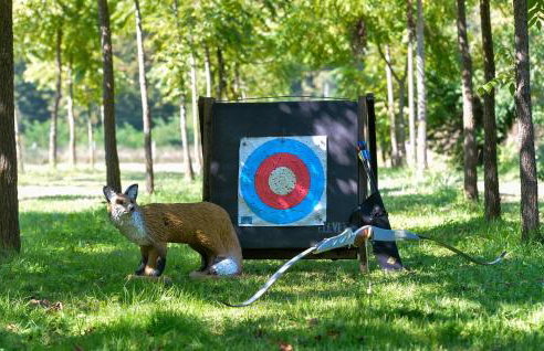 Amazing Home In Ivanska With Kitchen - Foto 17