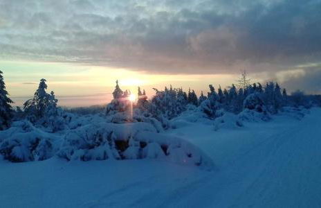 Ferienwohnung Sonnenhof - Foto 28