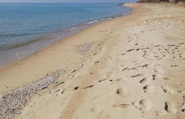 F & B Summer Collection - Holiday Flats - Foto 51