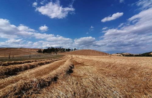 Tenuta d'Arbia, Siena - Foto 50