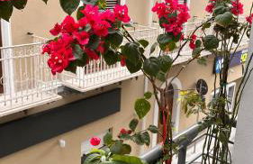 Home Sicilia - Foto 1