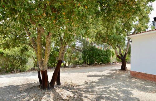 Quinta do Vale Lake Nest - Foto 21