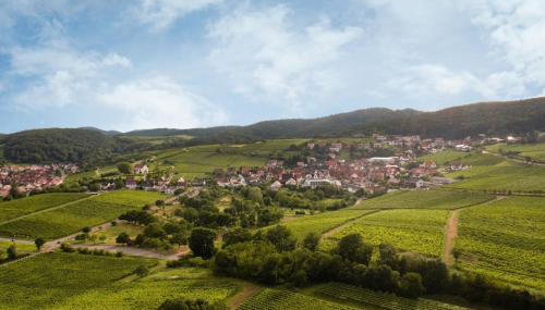 Winzerlodge, Wohnung Kirchberg - Foto 4