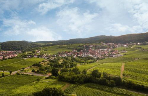 Winzerlodge, Wohnung Hatzelberg - Foto 24