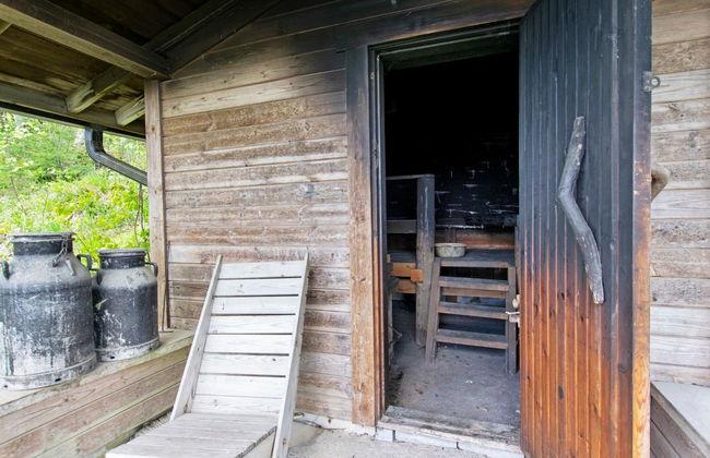 Heinäsorsa - Foto 21