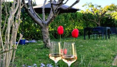 L'Instant Provence - Foto 2, Garden, Garden view