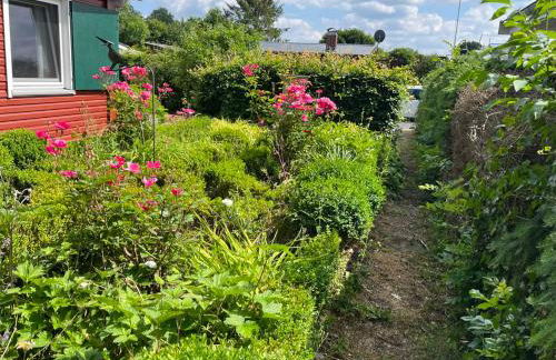 Ola Maika i - Das gute Leben am See - Photo 28