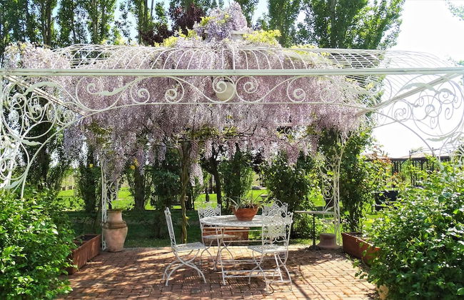 Agriturismo Millefiori Corte delle Rose - Foto 55