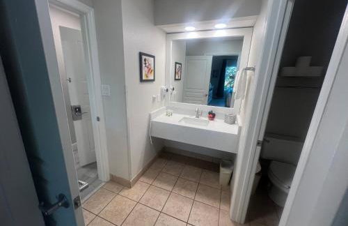 Free Shuttle Mickey Universal Epic SeaWorld - Foto 13