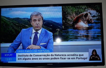 Apimonte City House B - Foto 43