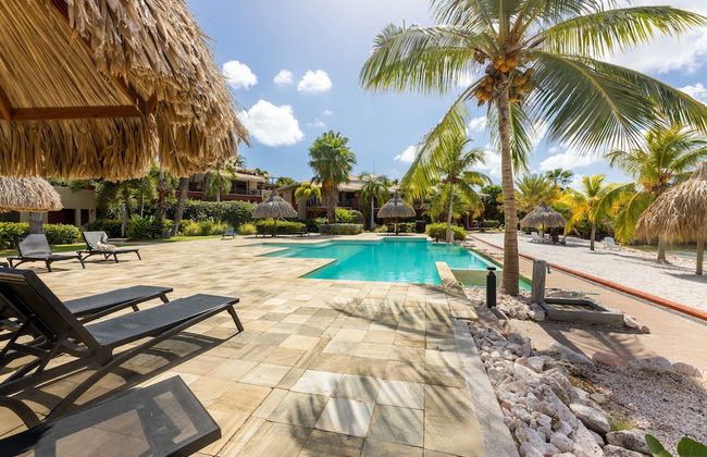 Stylish Apartment With Pool Near Jan Thiel Beach - Photo 21