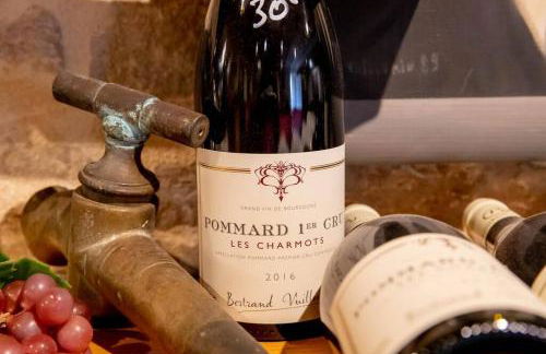 50 Nuances de Bourgogne - Foto 10