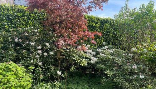 Ferienhaus Magnolie Xanten - Foto 4, Garden view