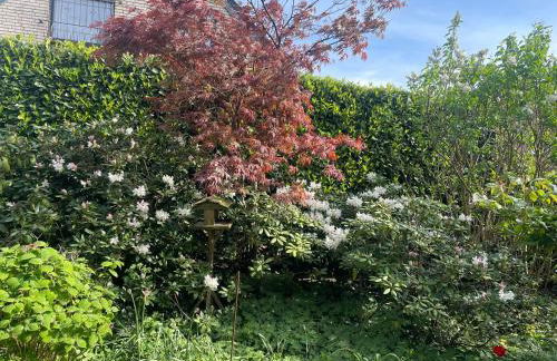 Ferienhaus Magnolie Xanten - Foto 4