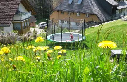 Bühlhof Todtnauberg Wohnung 3 - Foto 9