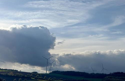 Ferienwohnung mit Garten-Terrasse-Grill-WiFi-Parkplatz-Baby-Kinder Bostalsee - Foto 15